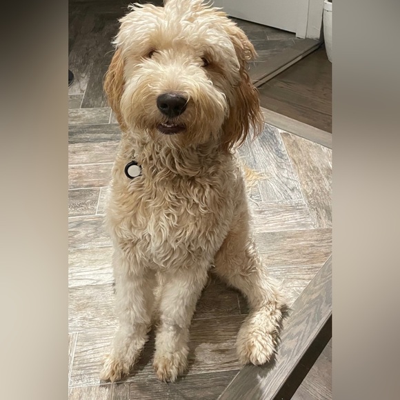 Meet your Posher, Ilanit - Picture 2 of 2